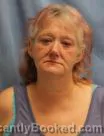 Mugshot of Tracy Michelle Campbell booked in Pulaski County, Arkansas on August 2, 2026