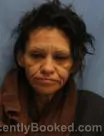 Mugshot of VANESSA LOBATO booked in Pulaski County, Arkansas on July 4, 2026