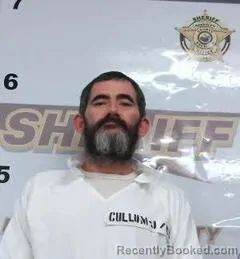 Booking photo from Randolph County, Arkansas