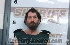 Booking photo from Randolph County, Arkansas