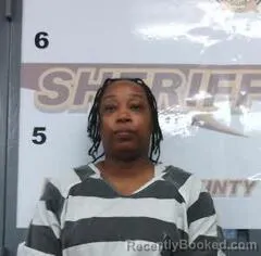 Booking photo from Randolph County, Arkansas