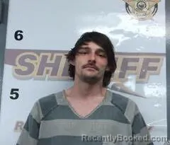 Mugshot of LEVI RANEY