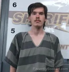 Mugshot of DAWSON NICHOLSON