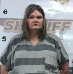 Mugshot of TONI MCHUGH