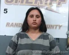 Mugshot of DILMA GONZALEZ ROMERO