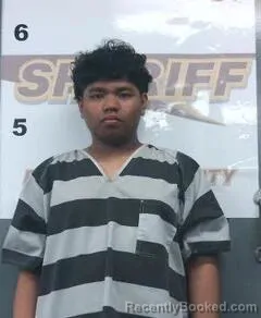 Mugshot of JOEL JIE booked in Randolph County, Arkansas on March 31, 2026