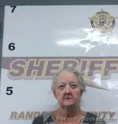 Mugshot of ROBIN LINDSEY booked in Randolph County, Arkansas on March 31, 2026