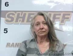 Mugshot of ELISA TIPPITT booked in Randolph County, Arkansas on April 11, 2026