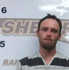 Mugshot of BRANDON ALPHIN booked in Randolph County, Arkansas on April 11, 2026