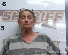 Mugshot of Michelle Brady booked in Randolph County, Arkansas on October 7, 2026