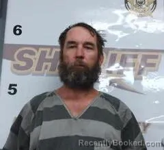 Booking photo from Randolph County, Arkansas
