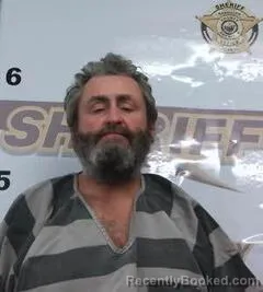 Booking photo from Randolph County, Arkansas