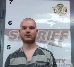 Mugshot of JOHNNIE SCALES