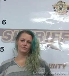 Mugshot of JESSICA JOHNSON booked in Randolph County, Arkansas on April 13, 2026