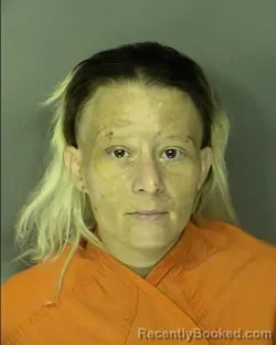 Mugshot of Jaclyn Leann Wolfenbarger booked in Horry County, South Carolina on July 27, 2026