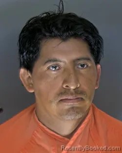 Mugshot of Pascual Juan Mincho