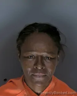 Mugshot of Lakisha Wynett Brown booked in Horry County, South Carolina on July 29, 2026