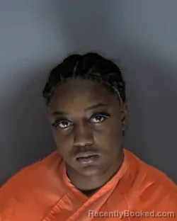 Mugshot of Tinasia Arnell Hines booked in Horry County, South Carolina on August 2, 2026