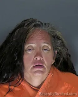 Mugshot of Teresa Lynn Juanico booked in Horry County, South Carolina on August 2, 2026
