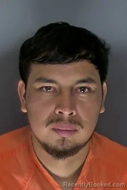 Mugshot of Alfredo Trejo Salazar booked in Horry County, South Carolina on August 3, 2026