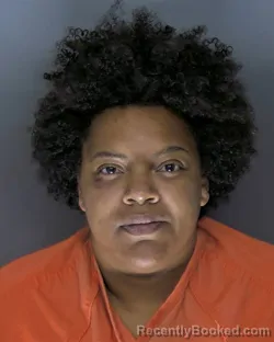 Mugshot of Destiny Nicole Daniels booked in Horry County, South Carolina on August 6, 2026