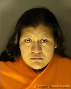 Mugshot of Soraya Paulina Magana Reyes booked in Horry County, South Carolina on August 7, 2026
