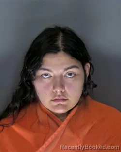 Mugshot of Clarrisa Desiray Huynh booked in Horry County, South Carolina on August 16, 2026