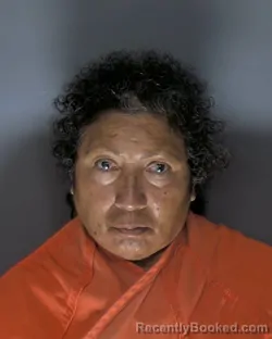Mugshot of Concepcion Alegria Gaytan booked in Horry County, South Carolina on August 17, 2026