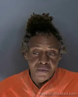 Mugshot of Krystal Monique Brown booked in Horry County, South Carolina on August 25, 2026