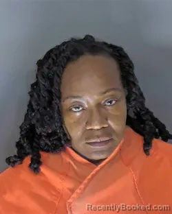 Mugshot of Chantell Demetria Ford booked in Horry County, South Carolina on October 7, 2026