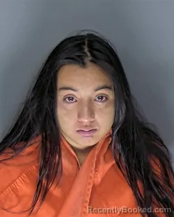 Mugshot of Angelia Kim Minervini booked in Horry County, South Carolina on October 15, 2026