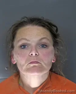 Mugshot of Felicia Ann Clemens booked in Horry County, South Carolina on October 21, 2026