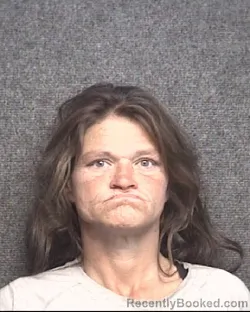 Mugshot of APRIL GRACE BOWLIN