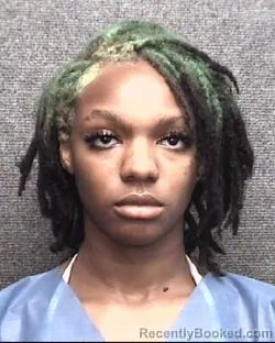 Mugshot of ANGEL MARIE PORTER booked in Horry County, South Carolina on April 4, 2026