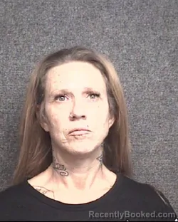 Mugshot of BRANDY STOUT ANDERSON