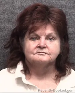 Mugshot of BRENDA FAYE LAKIN TAYLOR booked in Horry County, South Carolina on April 22, 2026