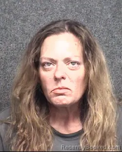 Mugshot of Brandy Mae Williams booked in Horry County, South Carolina on October 16, 2026
