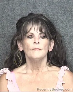 Mugshot of Cheryl Elaine Arthur booked in Horry County, South Carolina on July 29, 2026