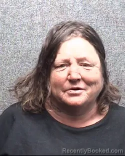 Mugshot of CHRYSTAL DAWN GOLDMAN booked in Horry County, South Carolina on March 27, 2026