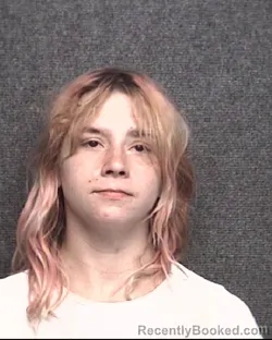 Mugshot of CHLOE XANA WOOD booked in Horry County, South Carolina on July 3, 2026