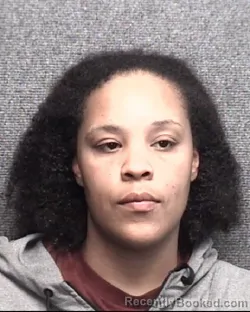 Mugshot of DAWNAYE CHANTE HARVEY BROWN booked in Horry County, South Carolina on April 15, 2026