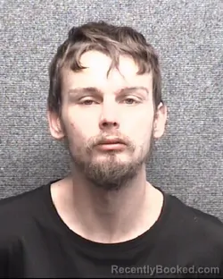 Mugshot of DALTON MICHAEL REED