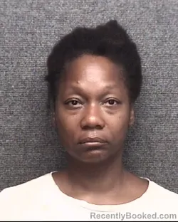 Mugshot of DANITA MARIA WIGGINS booked in Horry County, South Carolina on July 7, 2026