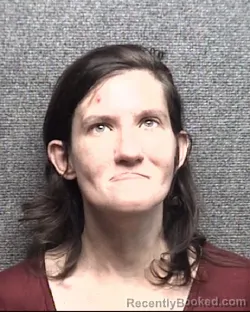 Mugshot of ELIZABETH ANNE PERRY booked in Horry County, South Carolina on March 20, 2026