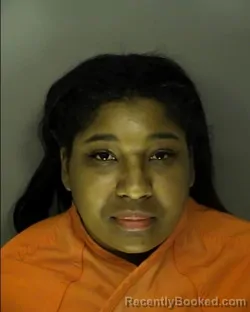 Booking photo from Horry County, South Carolina