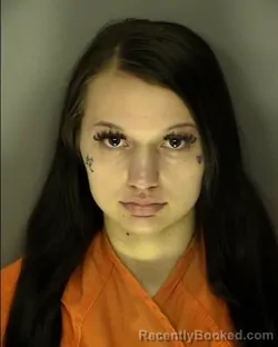 Booking photo from Horry County, South Carolina