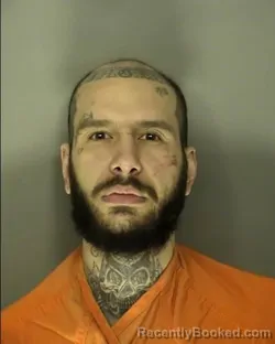 Booking photo from Horry County, South Carolina