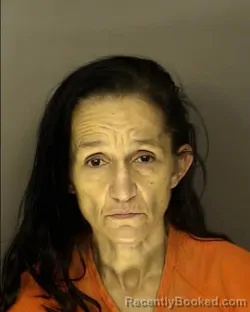Mugshot of JAIME DIANE HARDIN