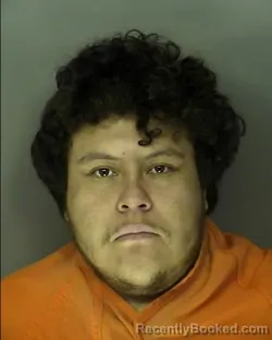Mugshot of ALLAN GONZALEZ