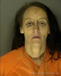 Booking photo from Horry County, South Carolina